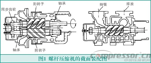 螺桿式壓縮機轉(zhuǎn)子故障與檢測