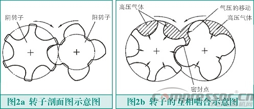 螺桿式壓縮機轉(zhuǎn)子故障與檢測