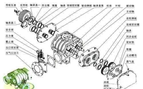 羅茨風(fēng)機(jī)結(jié)構(gòu)及工作原理解剖圖！