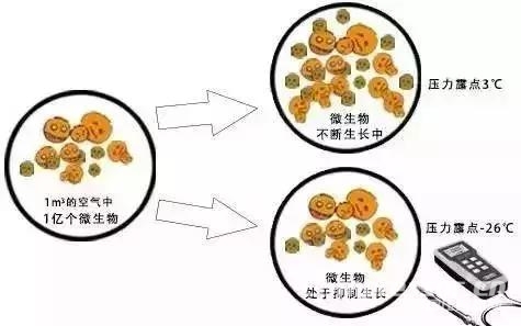 食品行業(yè)壓縮空氣品質(zhì)令人擔(dān)憂，正是后處理和無油機(jī)的機(jī)會所在！