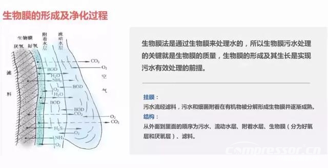 一文搞懂國(guó)內(nèi)6大主流污水處理工藝！就知道空壓機(jī)的用途了